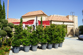 Enlarge photo 24