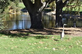 Enlarge photo 13