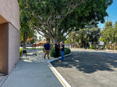 Enlarge photo 16