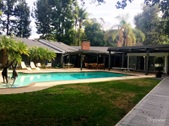 GG MID CENTURY TREES