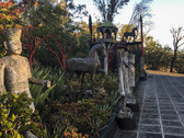 Enlarge photo 2