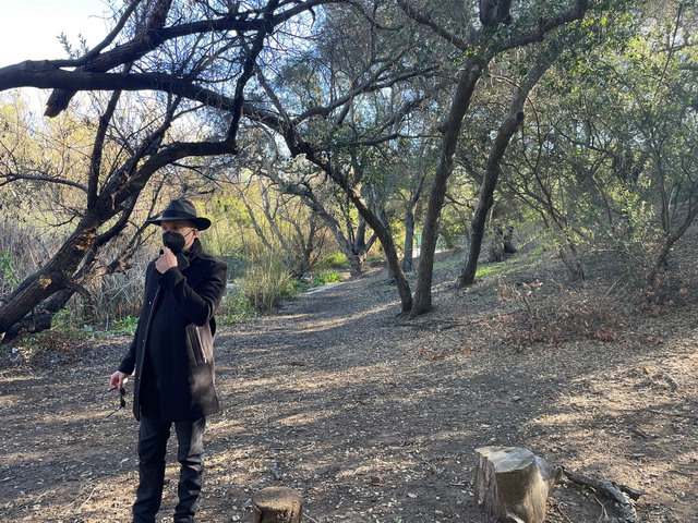 Return to Album
