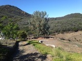 Enlarge photo 14