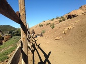 Enlarge photo 15