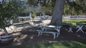 JMJ Ranch