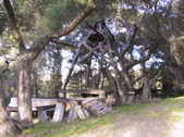 Enlarge photo 10