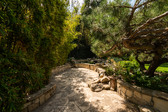 Enlarge photo 21