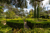 Enlarge photo 22