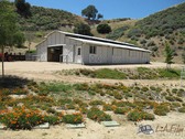 Enlarge photo 18