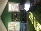 Enlarge photo 21