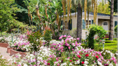Enlarge photo 12