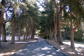 ESTATE 14 FAR WEST