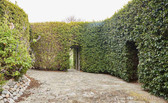 Enlarge photo 5