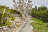 Enlarge photo 13