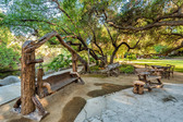 Enlarge photo 20