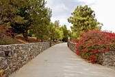 Enlarge photo 2