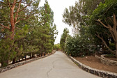 Enlarge photo 5