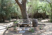 Enlarge photo 17