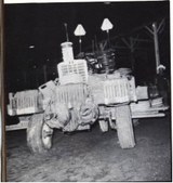 Enlarge photo 31
