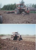 Enlarge photo 115