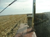 Enlarge photo 80
