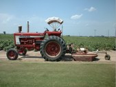Enlarge photo 40