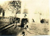 Enlarge photo 64