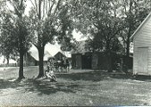 Enlarge photo 113