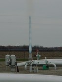 Enlarge photo 75