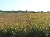 Enlarge photo 62