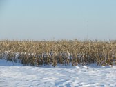 Enlarge photo 77