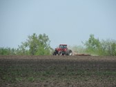 Enlarge photo 35