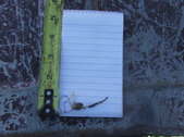Enlarge photo 39