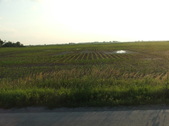 Enlarge photo 46