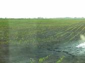 Enlarge photo 48