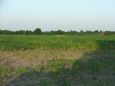 Enlarge photo 49