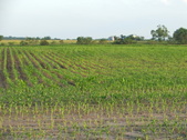 Enlarge photo 50