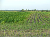 Enlarge photo 51