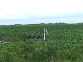 Enlarge photo 52