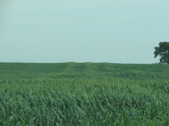 Enlarge photo 45