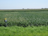 Enlarge photo 58