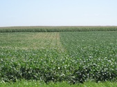 Enlarge photo 62
