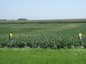 Enlarge photo 66