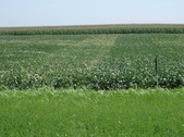 Enlarge photo 67