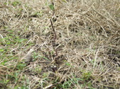 Enlarge photo 63