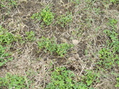 Enlarge photo 65