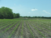 Enlarge photo 67