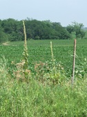 Enlarge photo 80