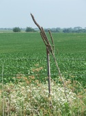 Enlarge photo 81