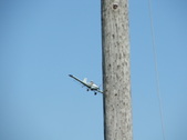 Enlarge photo 88